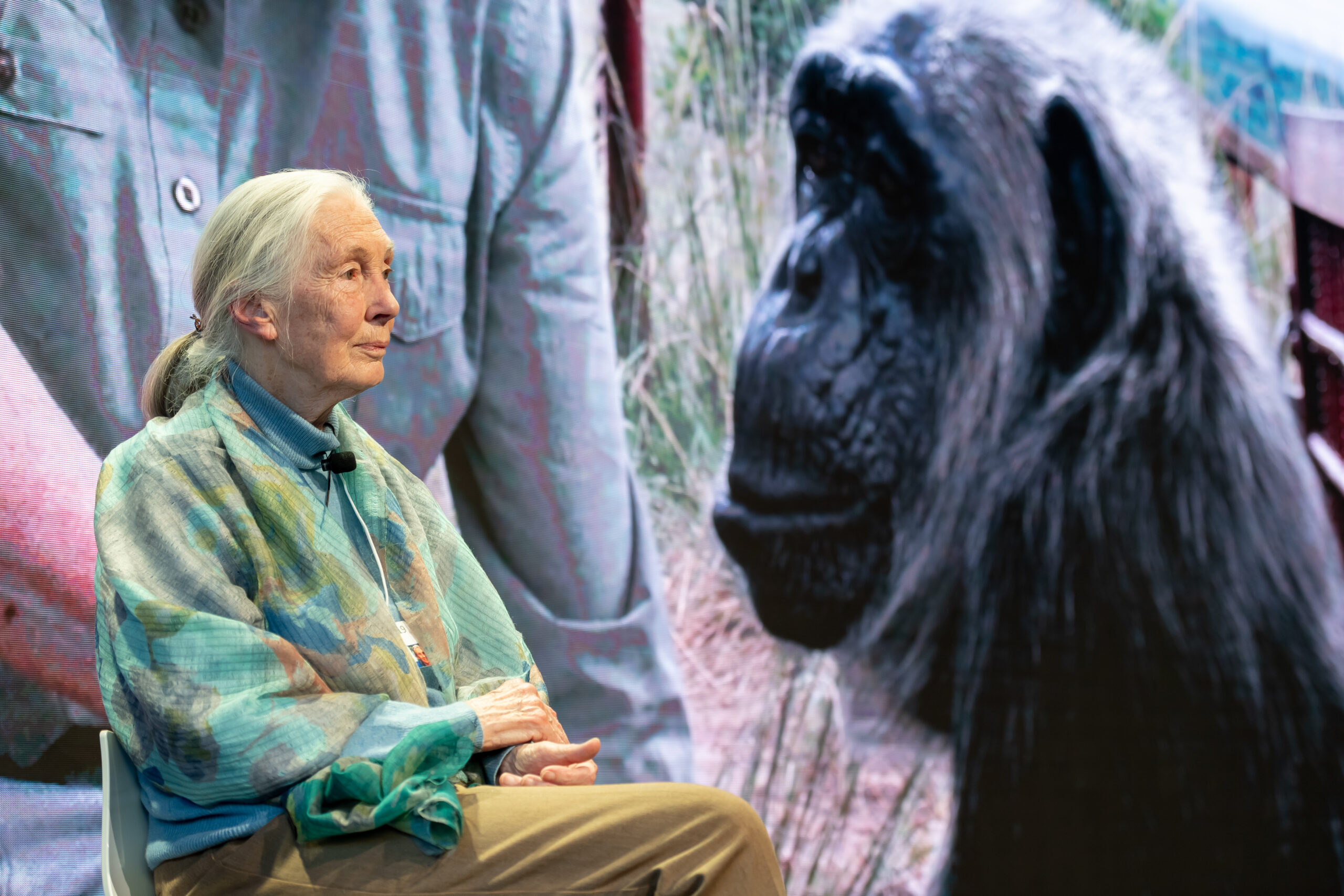 Jane Goodall, Founder, Jane Goodall Institute, USA speaking during the Session "Close Encounters with Jane Goodall and Skye Meaker" at the Annual Meeting 2019 of the World Economic Forum in Davos, January 22, 2019. 
Congress Centre - Betazone. 
Copyright by World Economic Forum / Sandra Blaser