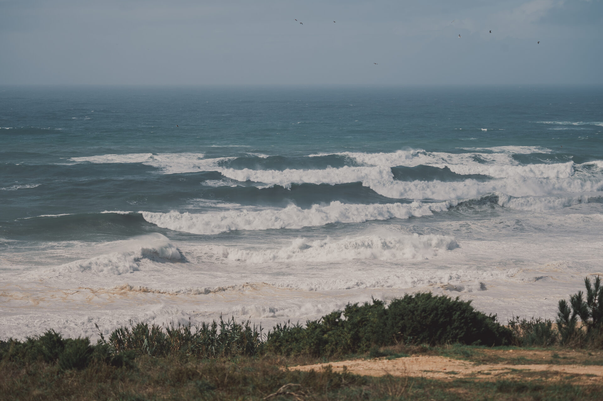 Caparica_0132