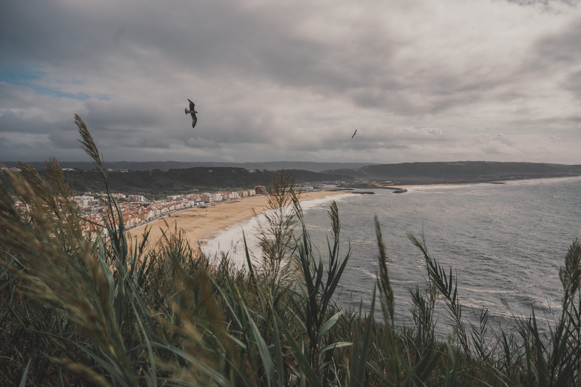 Caparica_0159